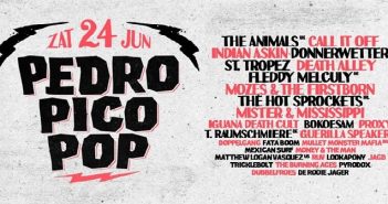 Concerttip zaterdag 24 juni: Pedro Pico Pop festival in Raalte Pedro Pico Pop