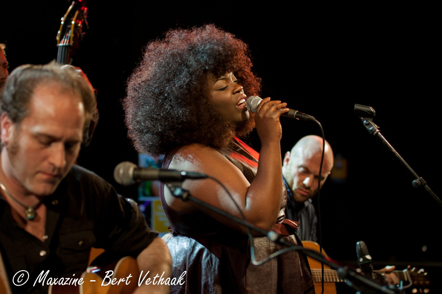 The Horse Company & Phantom Limb (Club Ziggo 9-12-2012)
