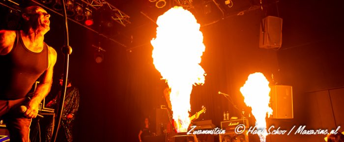 Zwammstein (P3 Purmerend, 25-01-2013)