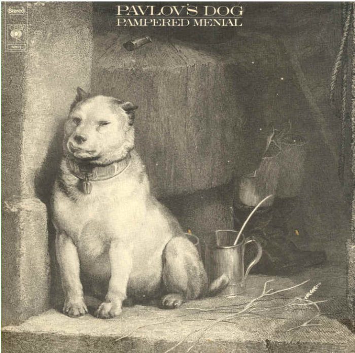 Pavlov’s Dog naar Arnhem