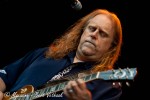 Gov't Mule