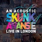 an acoustic skunk anansie