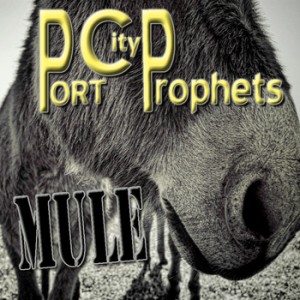 PortCityProphets Mule_c