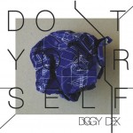 diggydex-doiturself