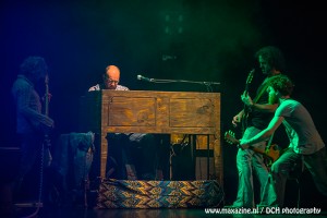 DSC_7484-01_woodstock