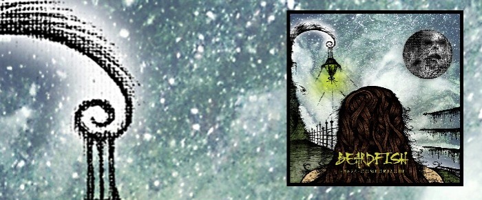 Beardfish – +4626-Comfortzone