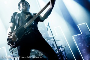 Wombats4