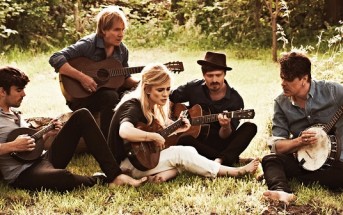 The Common Linnets