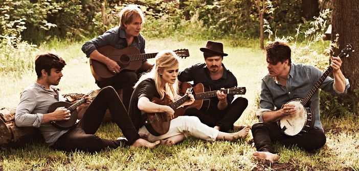 The Common Linnets