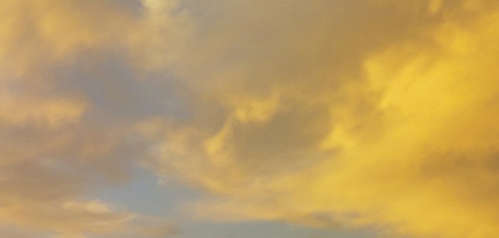 Los Lobos – Gates of Gold Los Lobos