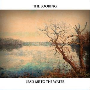 Looking LeadMeToTheWater_c