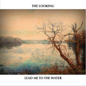 Looking LeadMeToTheWater_c