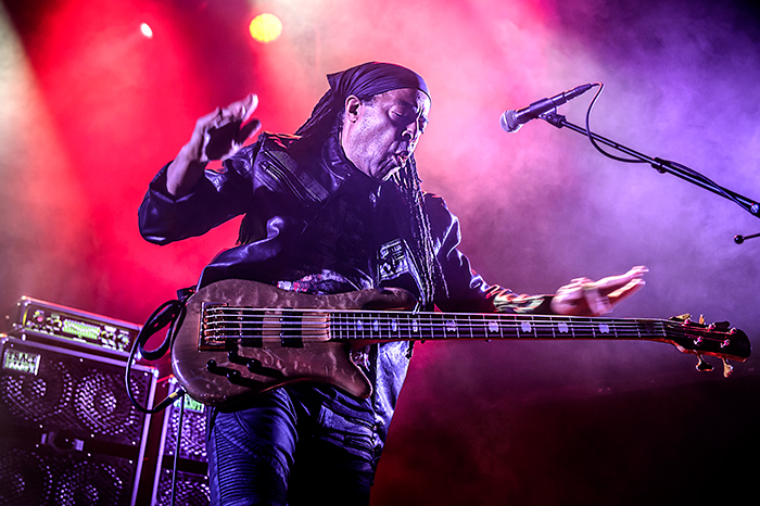 dsc_6366-livingcolour