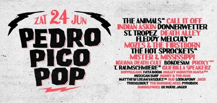 Concerttip zaterdag 24 juni: Pedro Pico Pop festival in Raalte Pedro Pico Pop