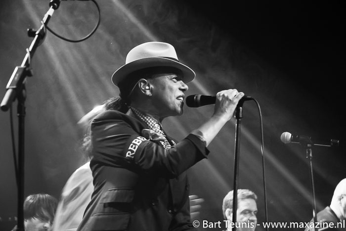 The Selecter