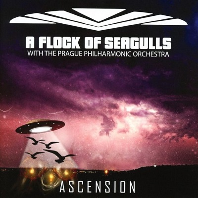 A Flock of Seagulls - Ascension