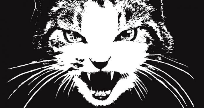 Concerttip zaterdag 1 september: Jaya The Cat in Patronaat Jaya The Cat