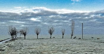 The Yearlings – Skywriting The Yearlings – Skywriting