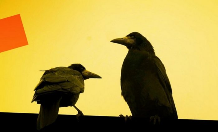 Robbert Duijf – Going Home Robbert Duijf