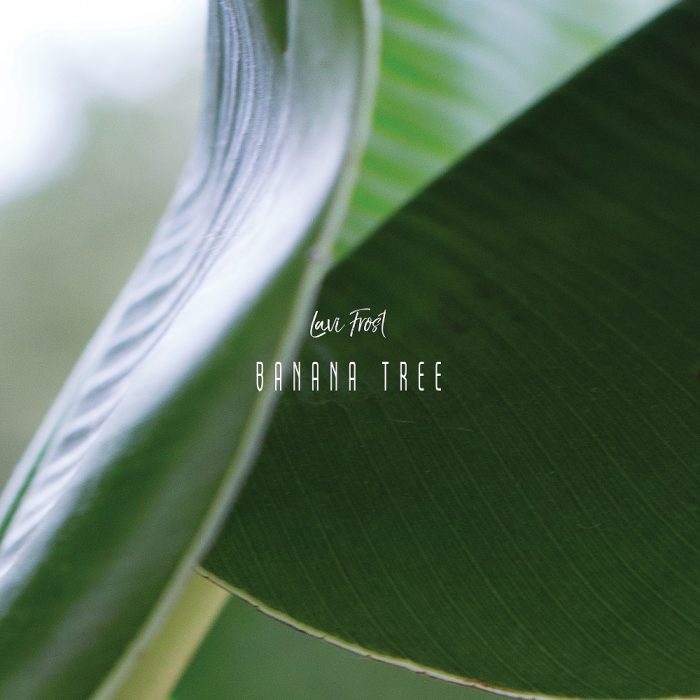 Primeur: Lavi Frost – Banana Tree