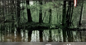 Al Lerman – Northern Bayou