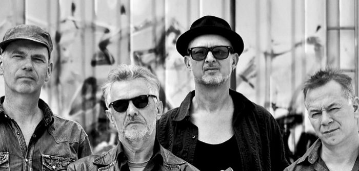 Matthews’ Southern Comfort in de tuin van De Amer