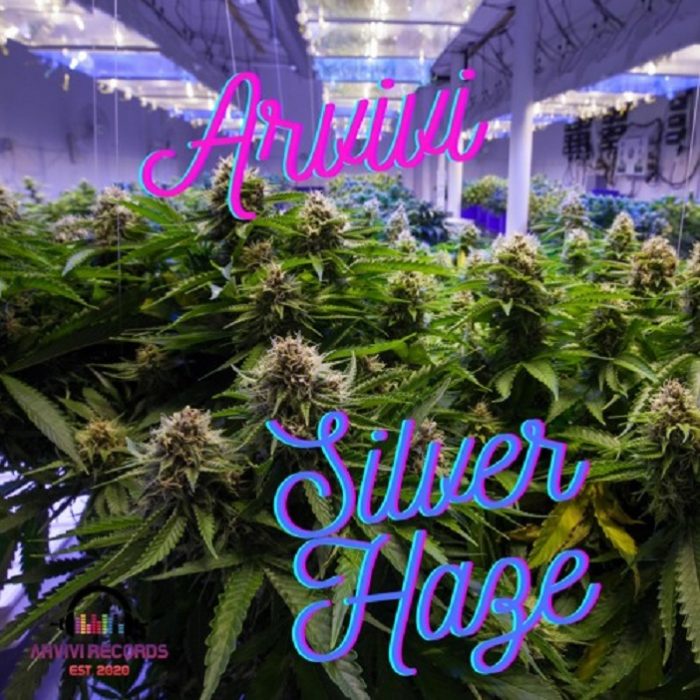 Arvivi komt nu al met nieuwe track, ‘Silver Haze’