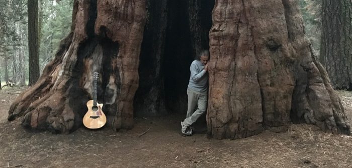 Stephen DiJoseph zet syndroom om in krachtige performance op ‘GIVE’ Stephen DiJoseph