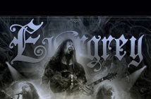 Evergray komt naar Dynamo