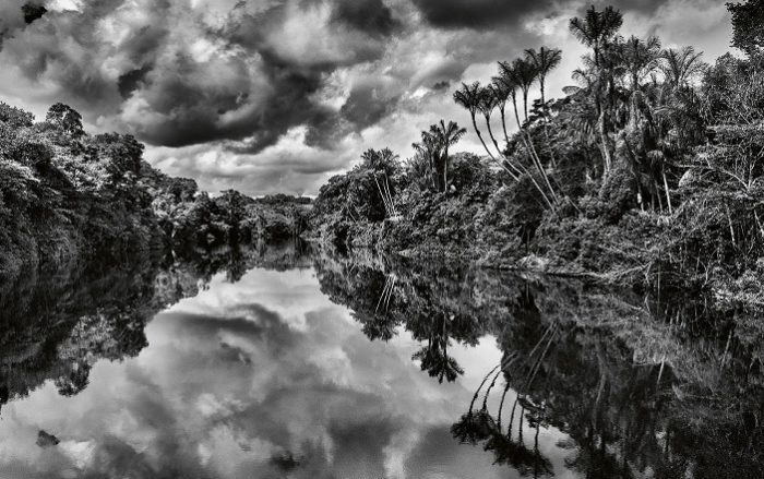 Jean-Michel Jarre brengt soundtrack uit: ‘Amazônia’ Jean-Michel Jarre