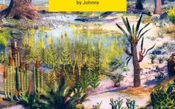 Johnny – Collecting Dinosaurs