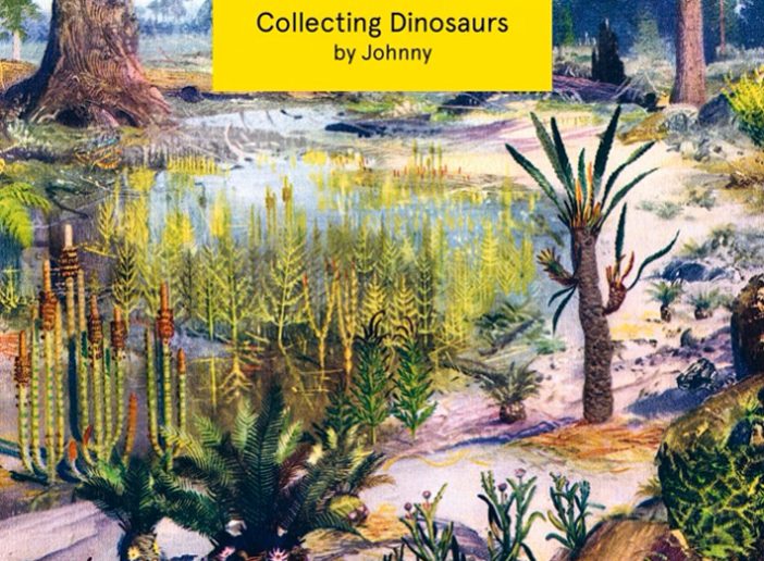 Johnny – Collecting Dinosaurs
