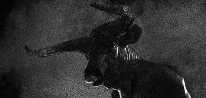 Soulcrusher 2021 gaat door in Doornroosje