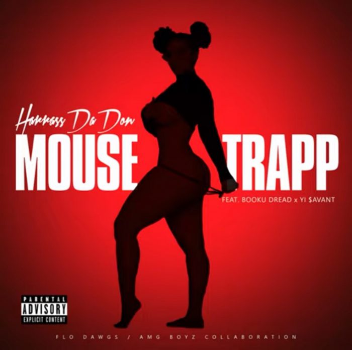 Harrass Da Don komt met nieuwe single ‘Mouse Trap’