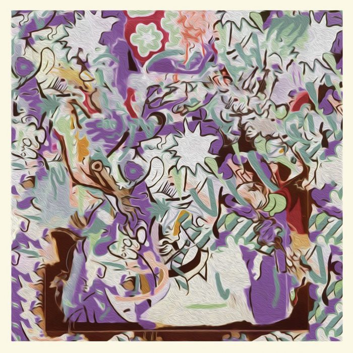 Mild High Club brengt eerste single van nieuw album ‘Going Going Gone’