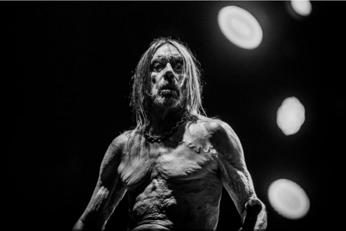 Iggy Pop kondigt nieuw album ‘Every Loser’ aan
