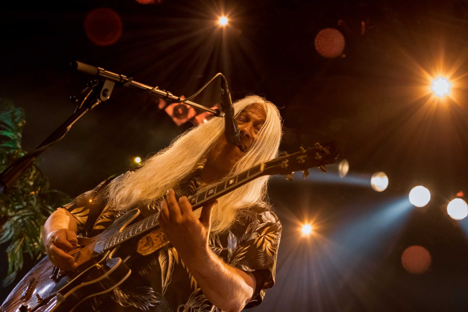 Young Gun Silver Fox verovert 013 met onweerstaanbare Yachtrock-vibes