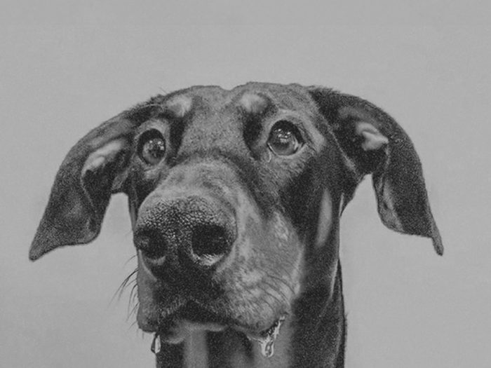 Big Special – Postindustrial Hometown Blues