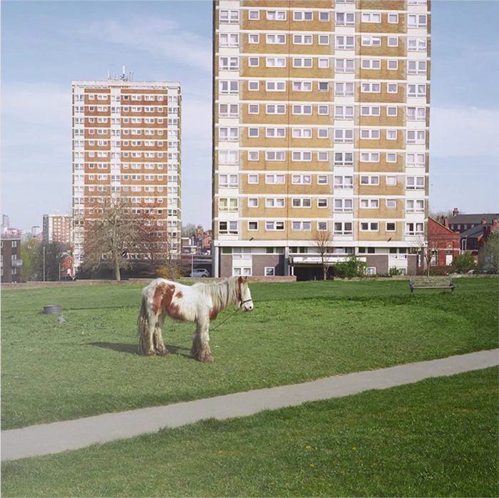 Westside Cowboy – It Goes On